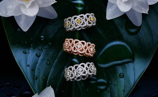 lotus de beers