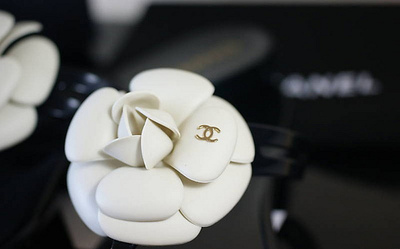 camelia-chanel-cute-designer-flower-white-Favim.com-68622