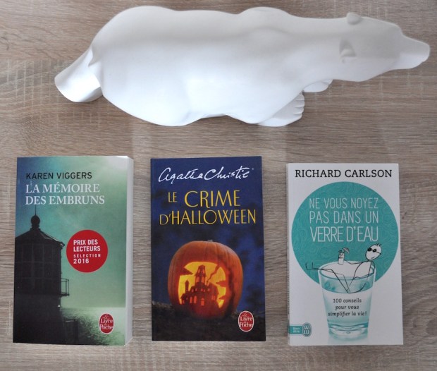 bright-pause-blog-lecture-novembre-livre-5